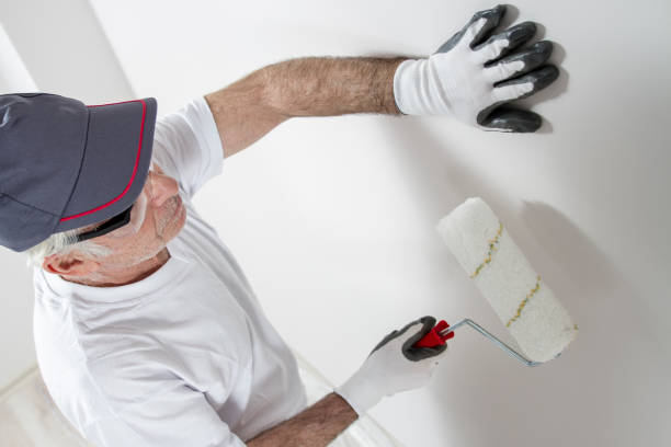 Best Mold Damage Restoration  in San Rafael, NM