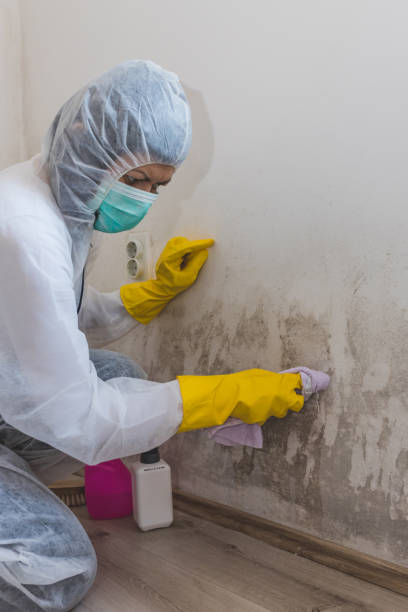 Best Emergency Mold Remediation  in San Rafael, NM