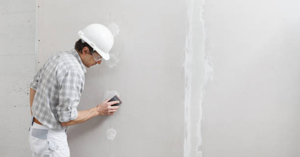 Best Mold Removal for HVAC Installations  in San Rafael, NM