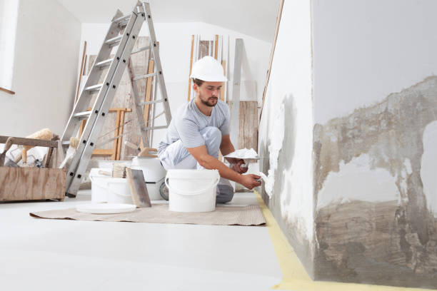 Best Mold Remediation for Vacation Homes  in San Rafael, NM